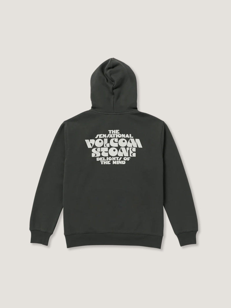 SWEATER S/CIERRE VOLCOM HOMBRE EARTH TRIPPER PO